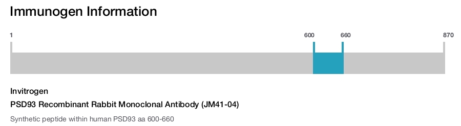 PSD93 Recombinant Rabbit Monoclonal Antibody (JM41-04)
