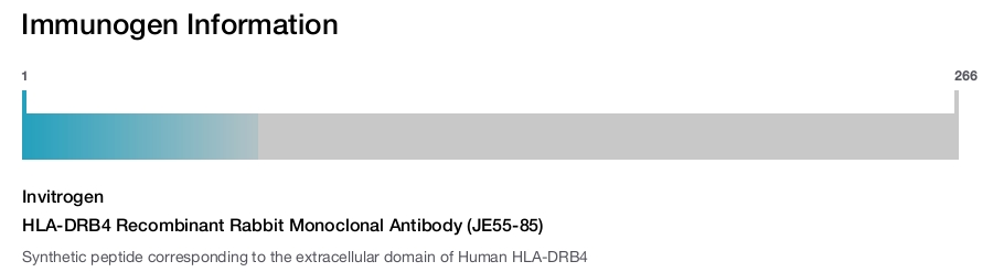 HLA-DRB4 Recombinant Rabbit Monoclonal Antibody (JE55-85)