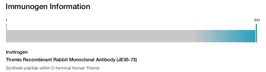 Themis Recombinant Rabbit Monoclonal Antibody (JE55-73)