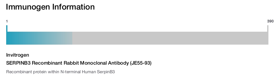 SERPINB3 Recombinant Rabbit Monoclonal Antibody (JE55-93)