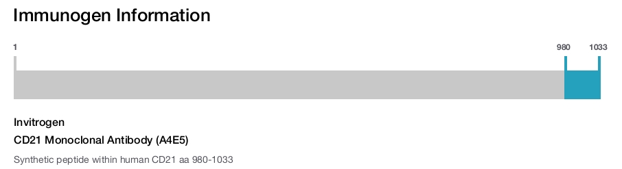 CD21 Monoclonal Antibody (A4E5)