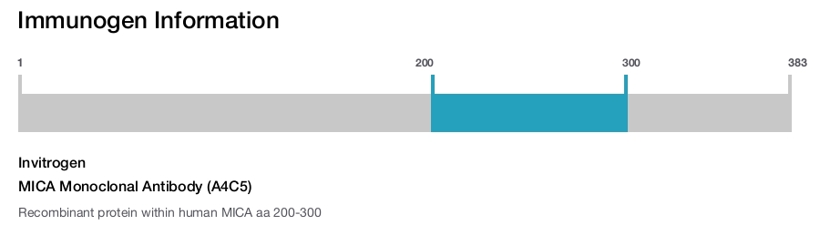 MICA Monoclonal Antibody (A4C5)