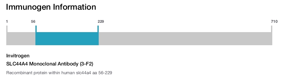 SLC44A4 Monoclonal Antibody (3-F2)