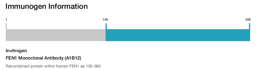 FEN1 Monoclonal Antibody (A1B12)