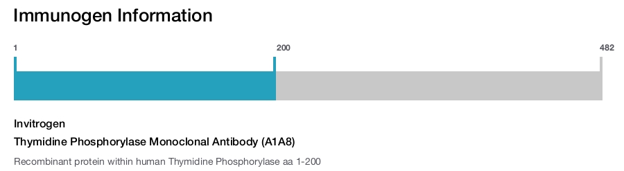 Thymidine Phosphorylase Monoclonal Antibody (A1A8)