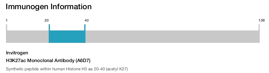 H3K27ac Monoclonal Antibody (A6D7)