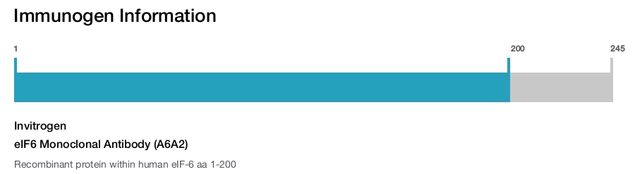 eIF6 Monoclonal Antibody (A6A2)