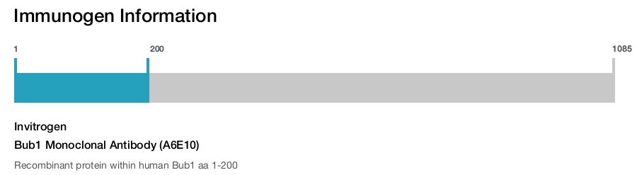 Bub1 Monoclonal Antibody (A6E10)