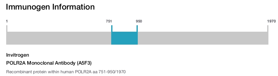 POLR2A Monoclonal Antibody (A5F3)