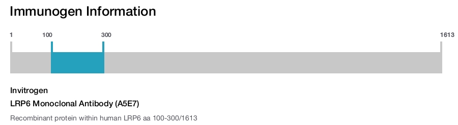 LRP6 Monoclonal Antibody (A5E7)