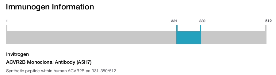 ACVR2B Monoclonal Antibody (A5H7)