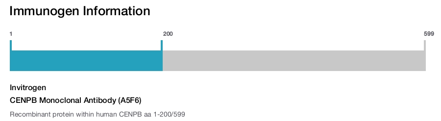 CENPB Monoclonal Antibody (A5F6)