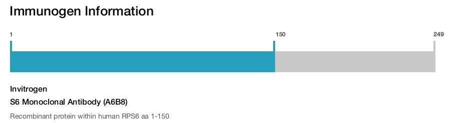 S6 Monoclonal Antibody (A6B8)