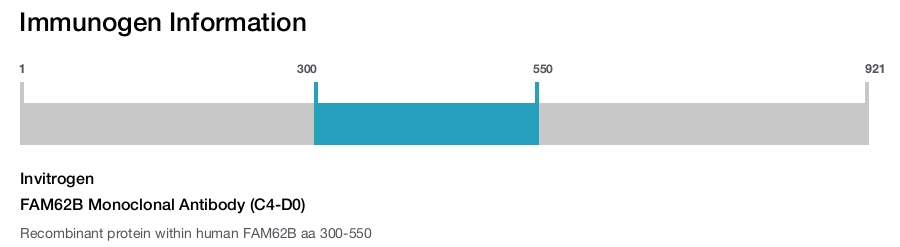 FAM62B Monoclonal Antibody (C4-D0)