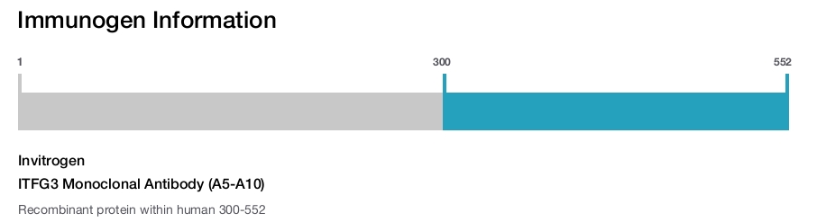 ITFG3 Monoclonal Antibody (A5-A10)