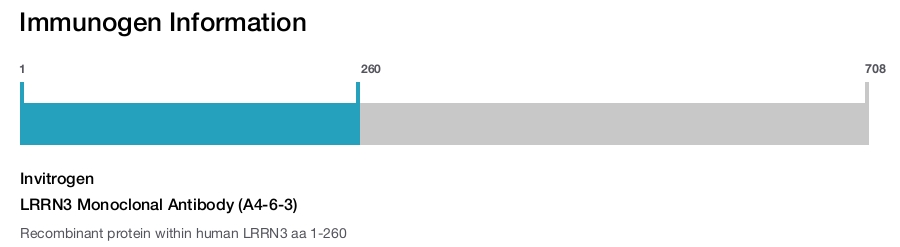 LRRN3 Monoclonal Antibody (A4-6-3)