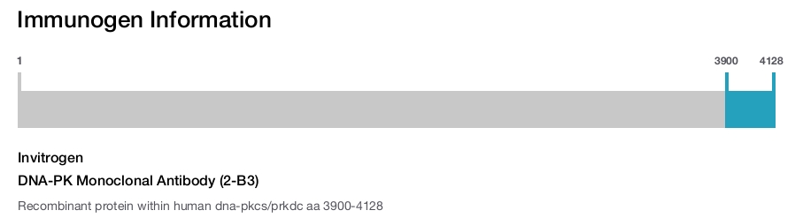 DNA-PK Monoclonal Antibody (2-B3)