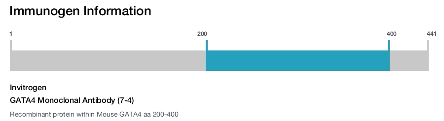 GATA4 Monoclonal Antibody (7-4)