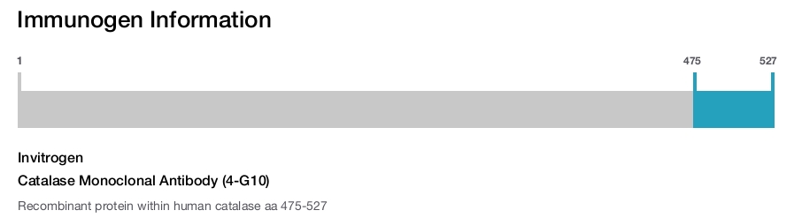 Catalase Monoclonal Antibody (4-G10)