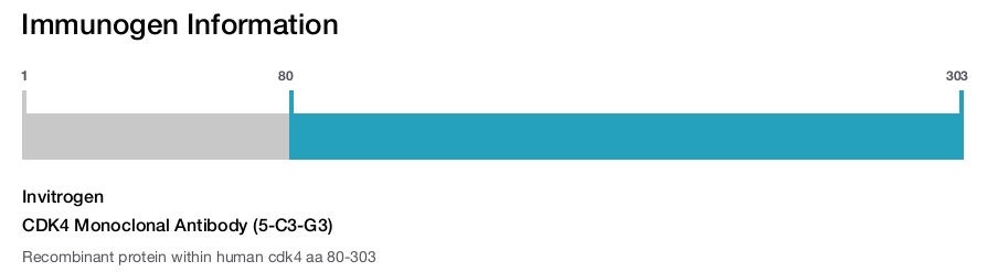 CDK4 Monoclonal Antibody (5-C3-G3)