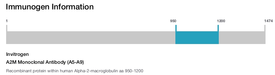 A2M Monoclonal Antibody (A5-A9)