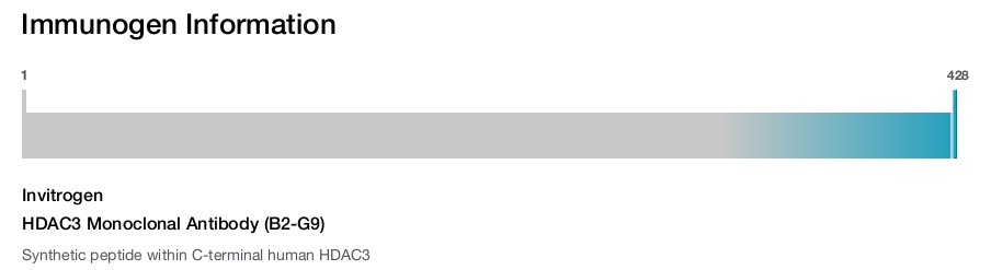 HDAC3 Monoclonal Antibody (B2-G9)