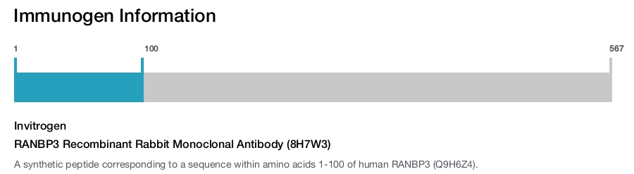 RANBP3 Recombinant Rabbit Monoclonal Antibody (8H7W3)