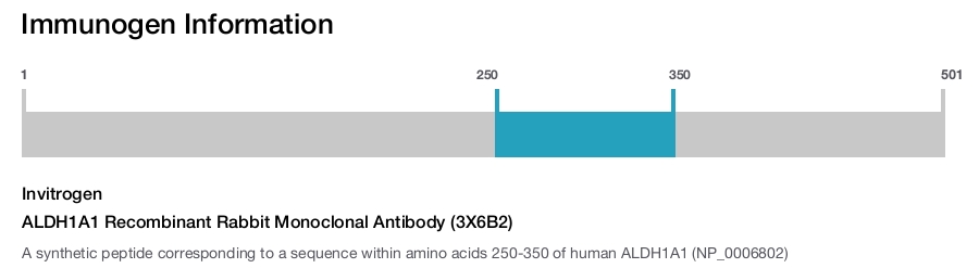 ALDH1A1 Recombinant Rabbit Monoclonal Antibody (3X6B2)