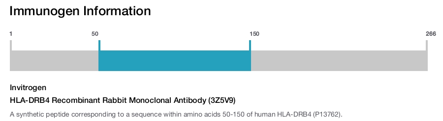 HLA-DRB4 Recombinant Rabbit Monoclonal Antibody (3Z5V9)