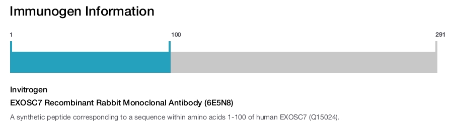 EXOSC7 Recombinant Rabbit Monoclonal Antibody (6E5N8)