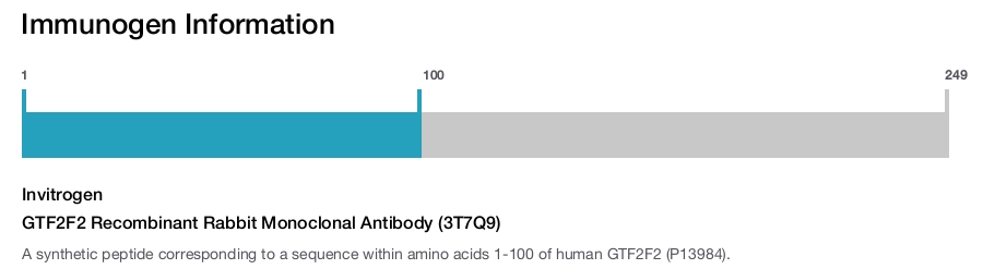 GTF2F2 Recombinant Rabbit Monoclonal Antibody (3T7Q9)