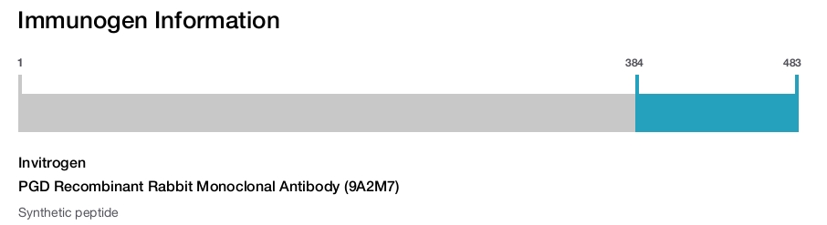 PGD Recombinant Rabbit Monoclonal Antibody (9A2M7)
