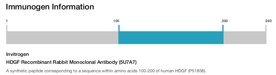 HDGF Recombinant Rabbit Monoclonal Antibody (5U7A7)