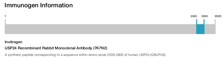 USP24 Recombinant Rabbit Monoclonal Antibody (7K7N2)