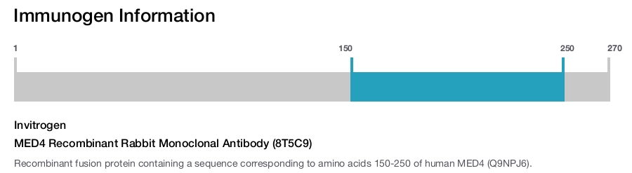 MED4 Recombinant Rabbit Monoclonal Antibody (8T5C9)
