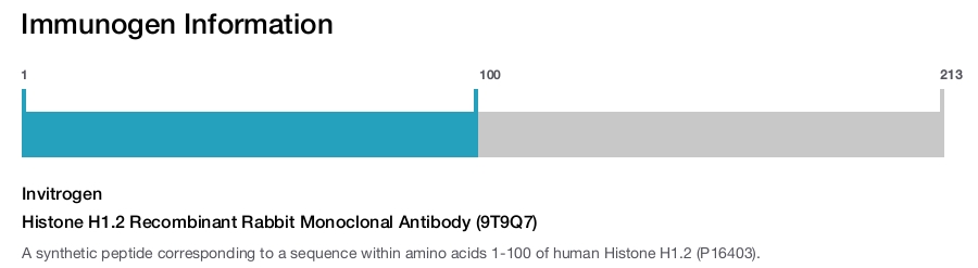 Histone H1.2 Recombinant Rabbit Monoclonal Antibody (9T9Q7)