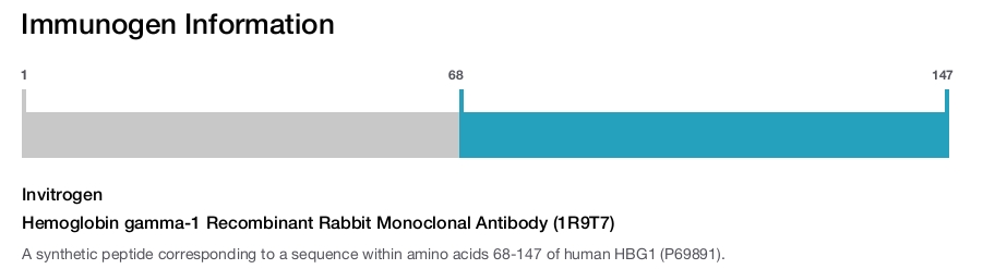 Hemoglobin gamma-1 Recombinant Rabbit Monoclonal Antibody (1R9T7)