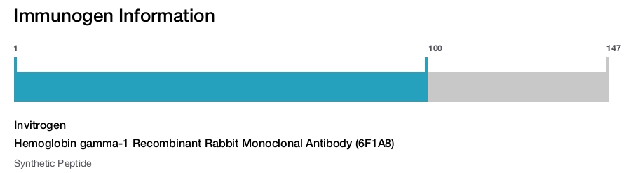 Hemoglobin gamma-1 Recombinant Rabbit Monoclonal Antibody (6F1A8)