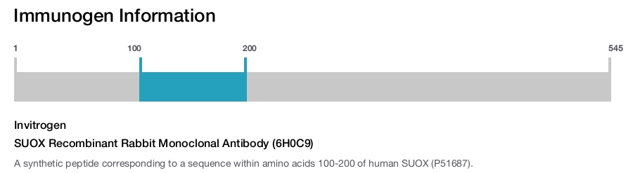 SUOX Recombinant Rabbit Monoclonal Antibody (6H0C9)