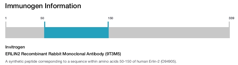 ERLIN2 Recombinant Rabbit Monoclonal Antibody (9T3M5)