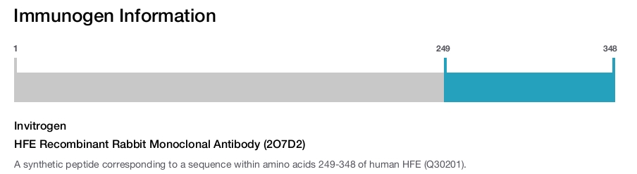 HFE Recombinant Rabbit Monoclonal Antibody (2O7D2)