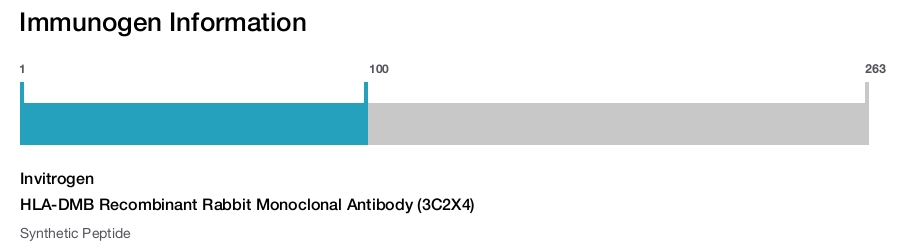 HLA-DMB Recombinant Rabbit Monoclonal Antibody (3C2X4)