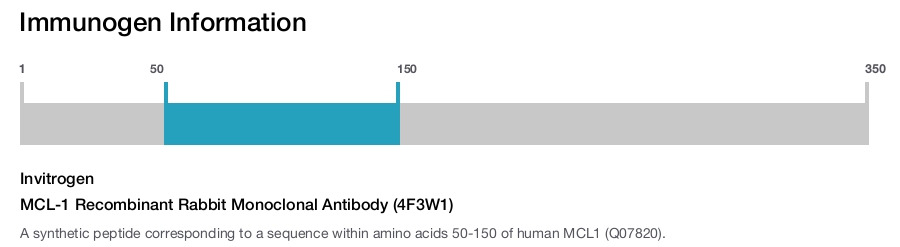 MCL-1 Recombinant Rabbit Monoclonal Antibody (4F3W1)
