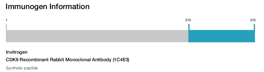 CDK9 Recombinant Rabbit Monoclonal Antibody (1C4E3)