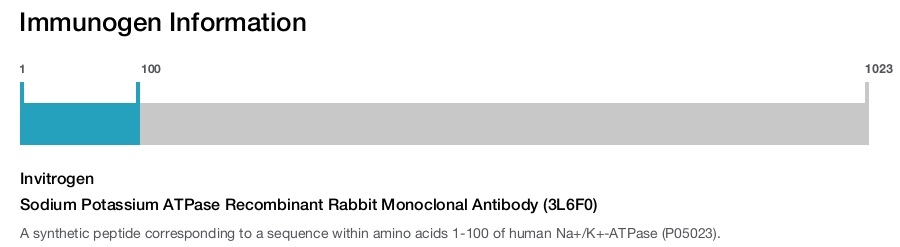 Sodium Potassium ATPase Recombinant Rabbit Monoclonal Antibody (3L6F0)