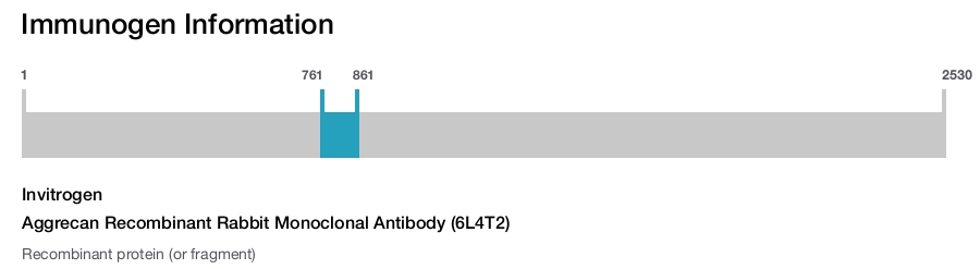 Aggrecan Recombinant Rabbit Monoclonal Antibody (6L4T2)
