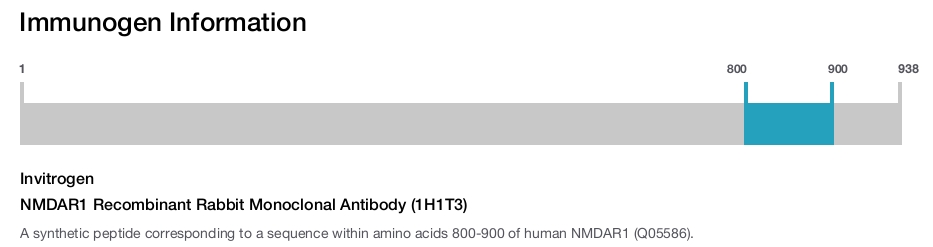 NMDAR1 Recombinant Rabbit Monoclonal Antibody (1H1T3)