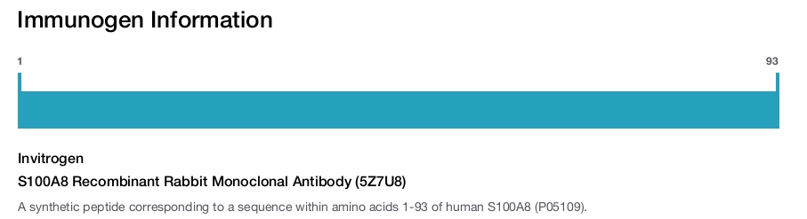 S100A8 Recombinant Rabbit Monoclonal Antibody (5Z7U8)
