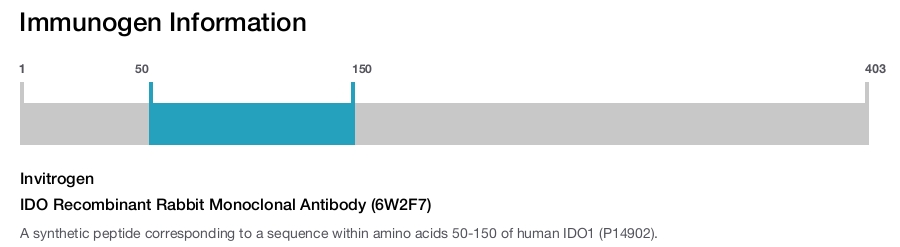 IDO Recombinant Rabbit Monoclonal Antibody (6W2F7)