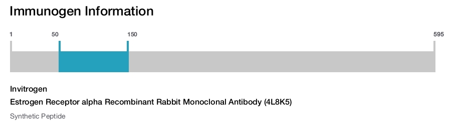 Estrogen Receptor alpha Recombinant Rabbit Monoclonal Antibody (4L8K5)